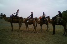 Zagora Desert Night Excursion from Marrakech