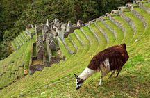 2 Day - Short Inca Trail to Machu Picchu - Group Service