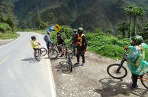 Adrenaline-Packed 3-Day Inca Jungle Adventure to Machu Picchu