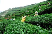 6-Day Kerala Private Tour: Periyar Wildlife Sanctuary