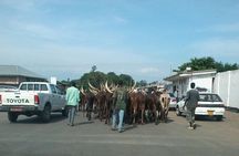 Discovering the Wonders of Burundi: A 7-Day Tour itinerary