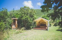 Overnight Experience Tour on Kapiti Island