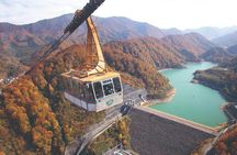2 Day Niigata Autumn Tour including Naeba Dragondola and Ropeways