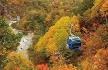 2 Day Niigata Autumn Tour including Naeba Dragondola and Ropeways