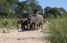 4-Day Best Of eSwatini Tour- The African experience