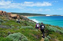 8-Day Cape to Cape Track Guided Walking Tour from Perth