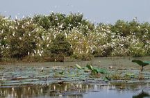 Mekong Delta Tours 3days - CaiBe Vinh Long ChauDoc CanTho