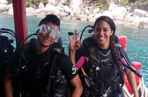 2 Days Diving Trip to Koh Tao Including 4 Dives and Accommodation