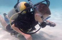 PADI Scuba Diver course for beginners Two days one night accommodation included