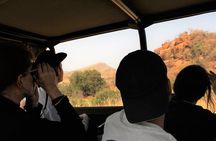 2 Day Pilanesberg Camping Safari