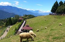 Private 2-Day Qingjing and Hehuan Mountain Tour from Taipei