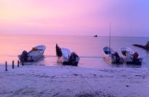HOLBOX ISLAND TOUR - from Holbox (Private)