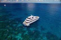 Cairns Super Saver: Reef Cruise, Daintree & Kuranda Rail/Skyrail