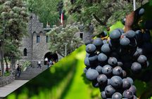 Private Santiago Full-Day Layover Tour