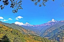 Luwang Village Home Stay Easy Trek with Tea Garden Visit