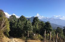 Multi-Day Ghandruk Trek in Pokhara
