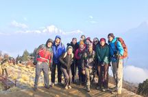 Poon Hill Flash Trek with 4WD To and from Hile, Pokhara Nepal