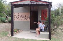 3 Day Lodge/Masango Kruger National Park Safari