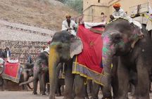  Private 4 Nights 5 Days Golden Triangle Tour (DELHI-AGRA-JAIPUR-DELHI)