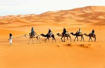 Camel Trekking Dubai with Dune Bashing and Sand Boarding