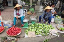 7-Day Vietnam Private Tour to Hanoi, Ho Chi Minh City, and Cruise on Halong Bay