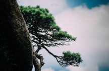 2-Day Private Trip to Huangshan Mountain and Tongmo Ancient Town from Shanghai