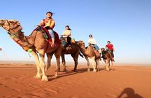 Fes to Fes 2 days Desert Tours