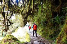 2-Day Private Tour of the Inca Trail to Machu Picchu