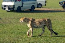 3Days 2nights Masai Mara group joining safari
