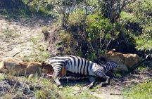 3Days 2nights Masai Mara group joining safari