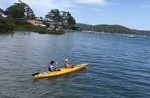  Small-Group Sydney's Northern Beaches & Ku-ring-gai Park Tour