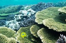 Abrolhos Islands Scenic Flight & Snorkel Adventure from Perth