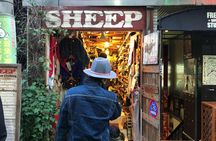 The Ultimate Osaka Shopping Experience: Private And Personalized
