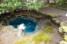 Mt. Fuji & Hakone day tour from Tokyo by car with JP local guide