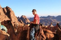 Mount Sinai Tour