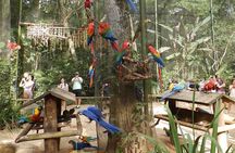 3 Days and 2 Nights 3 Stars Hotel Iguassu Falls - Private Tours