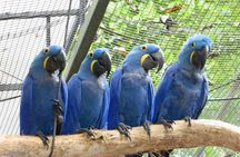 4 Days and 3 Nights 3 Stars Hotel Iguassu Falls - Private Tours