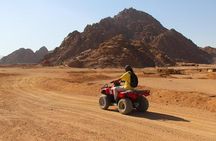 Towards finding the authentic treasure of Egypt