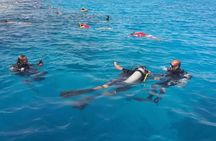 Hurghada Dolphin House and Banana Boat Fun with Snorkeling Time with Lunch Inc