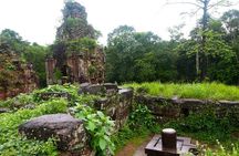 Da Nang/Hoi An: Private tour My Son sanctuary - Marble mountains