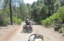 Forest Quad Trip with Hotel Pickup