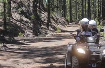 Forest Quad Trip with Hotel Pickup