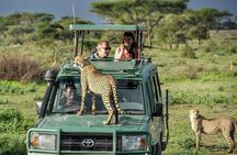 3 Days Masai Mara Wildlife Luxury Jeep Safari