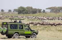 4 Days Masai Mara and Lake Nakuru Luxury Safari on 4x4 Jeep