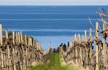 Piran and Scenic Slovenian Coast-Private Experience from Koper