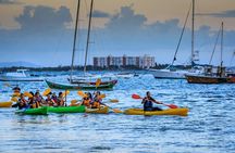 Bioluminescent Bay Night Kayaking in Laguna Grande Fajardo 7:30pm