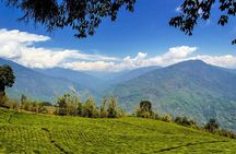 A Full Day Tour Of Darjeeling