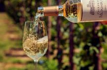Organic wines of Mtskheta - private tour with lunch and wine tastings