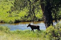 Rocky Mountain National Park and Estes Park Tour from Denver Winter and Spring