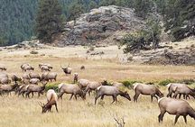 Rocky Mountain National Park and Estes Park Tour from Denver Winter and Spring